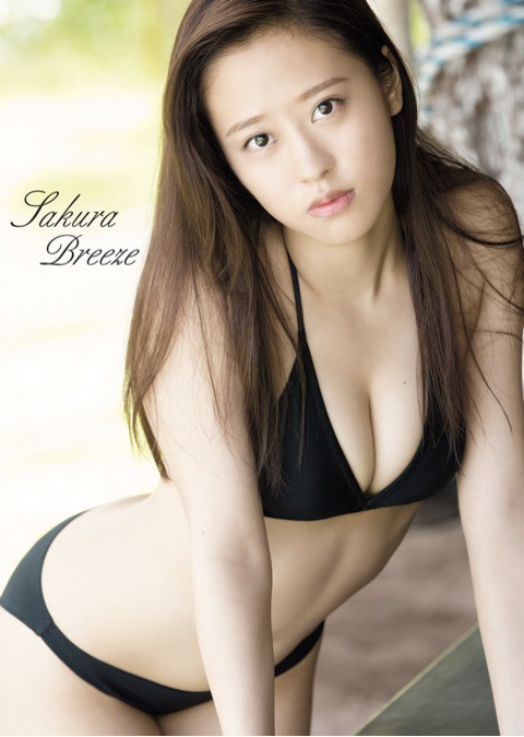 사쿠라(SAKURA) 이미지