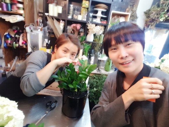 크로비스 이미지