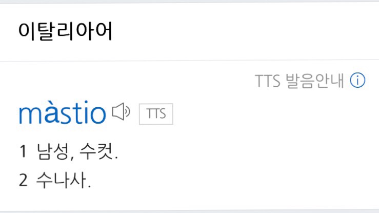 사르토리아마스티오 이미지