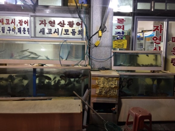 미화횟집 이미지
