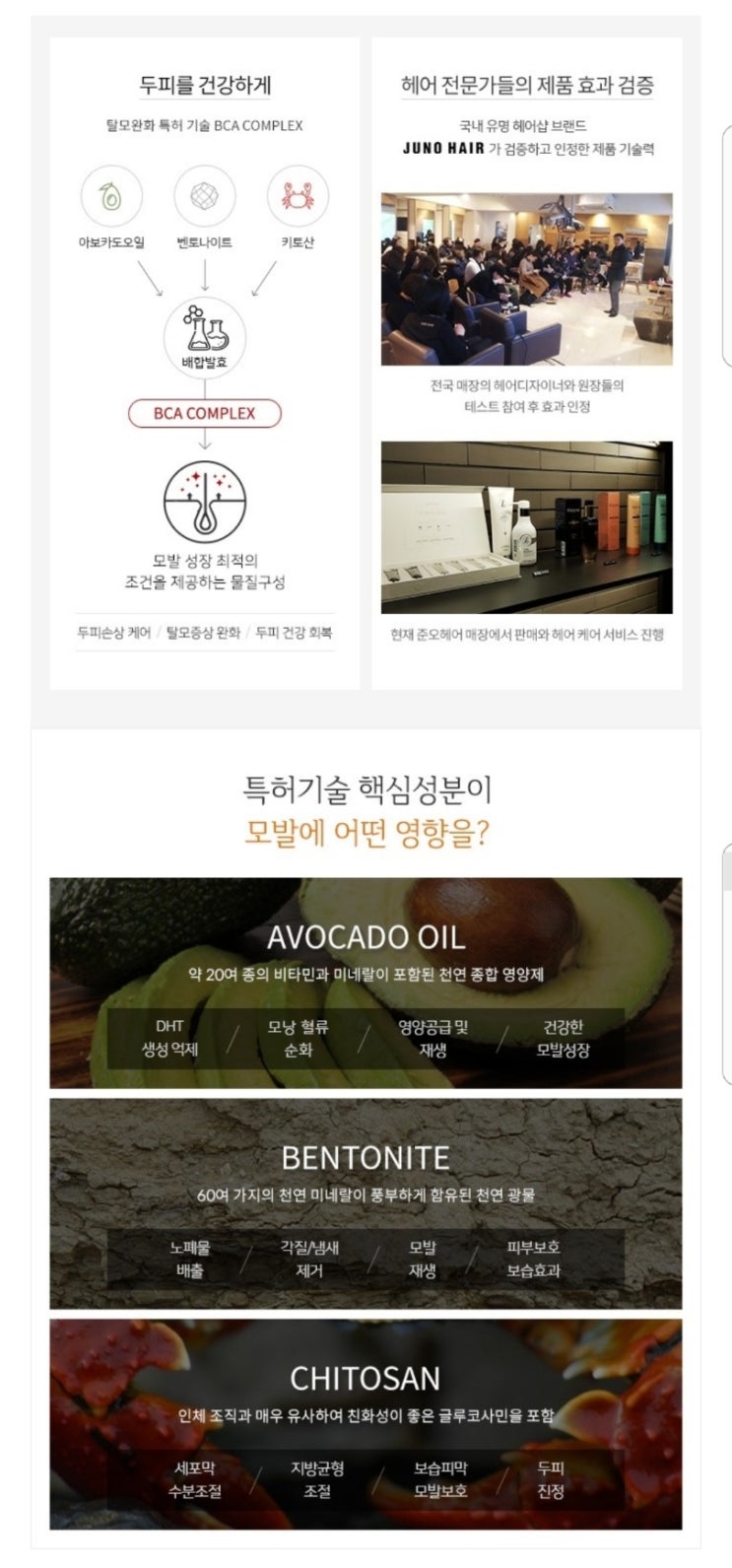 제이나인 이미지