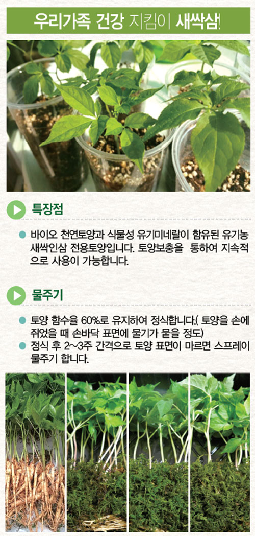 팜가이아 이미지