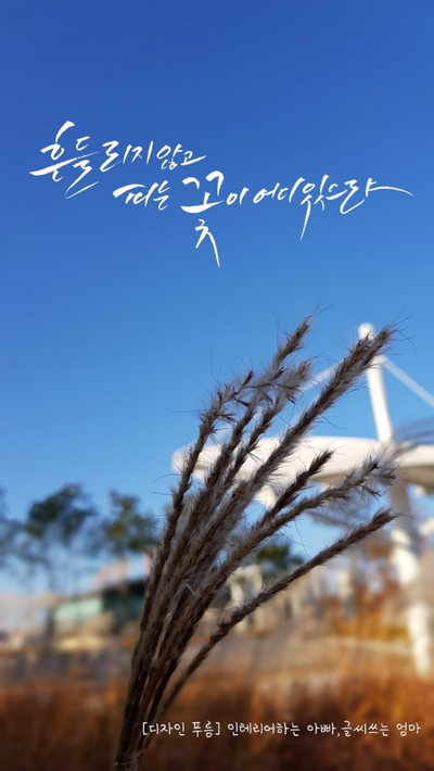디자인 푸름 이미지