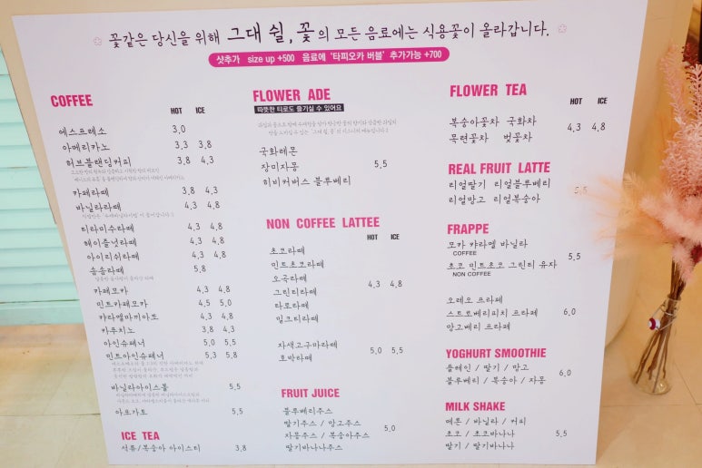 그대쉴꽃 이미지