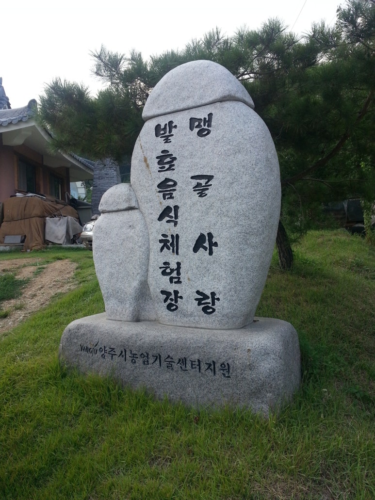 맹골사랑 이미지