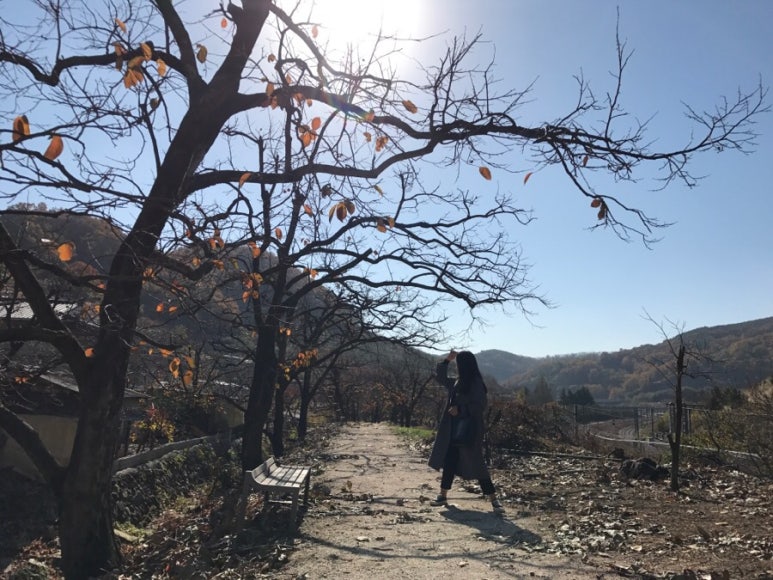 카페다로리 이미지