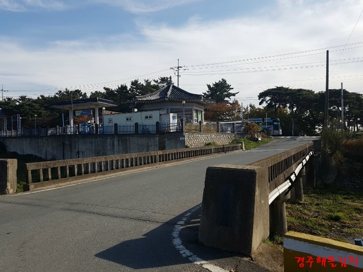 토함산손칼국수 이미지