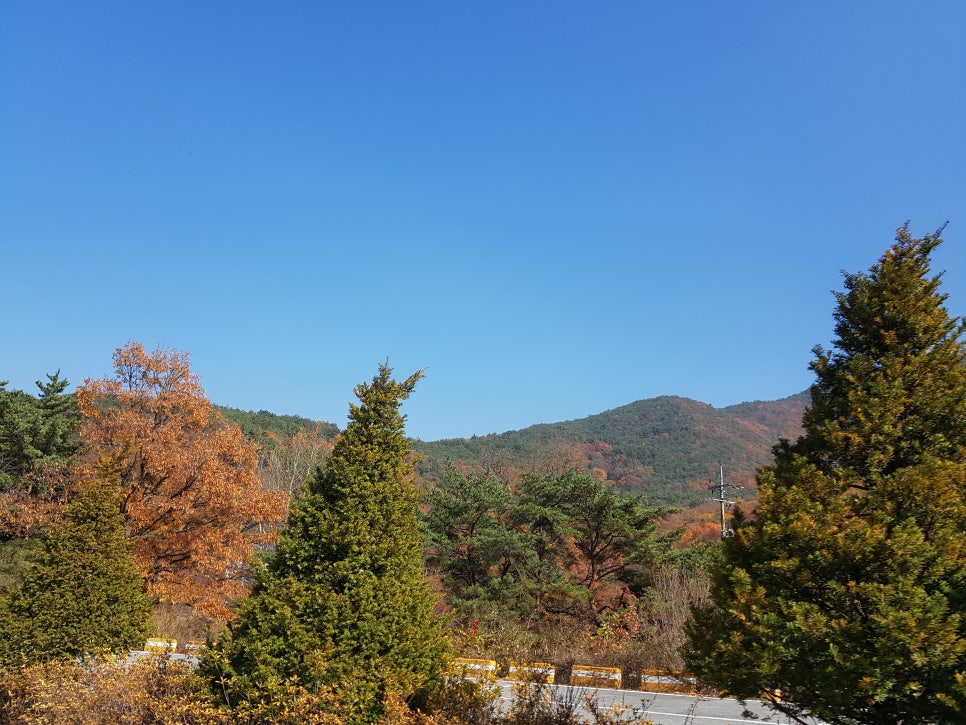 혜림이네농장 이미지