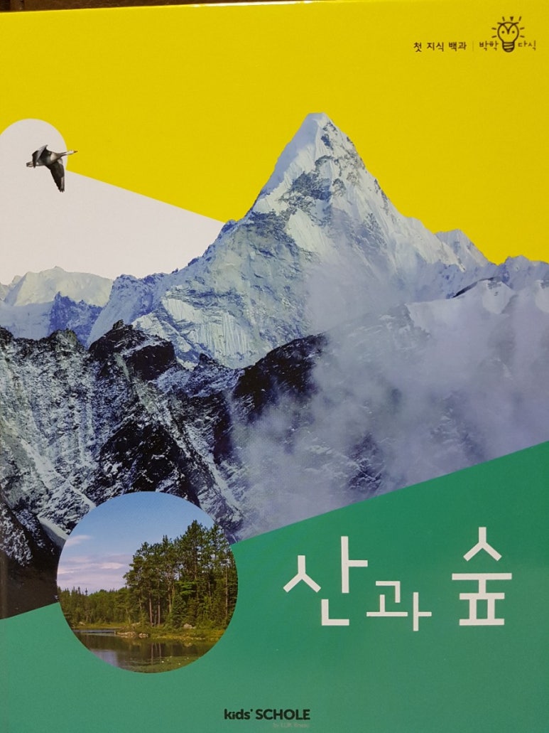 산과숲 이미지
