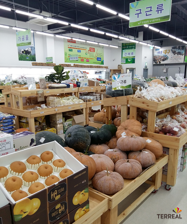 만세유통주 이미지