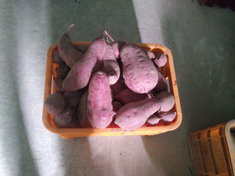 유곡농원 이미지