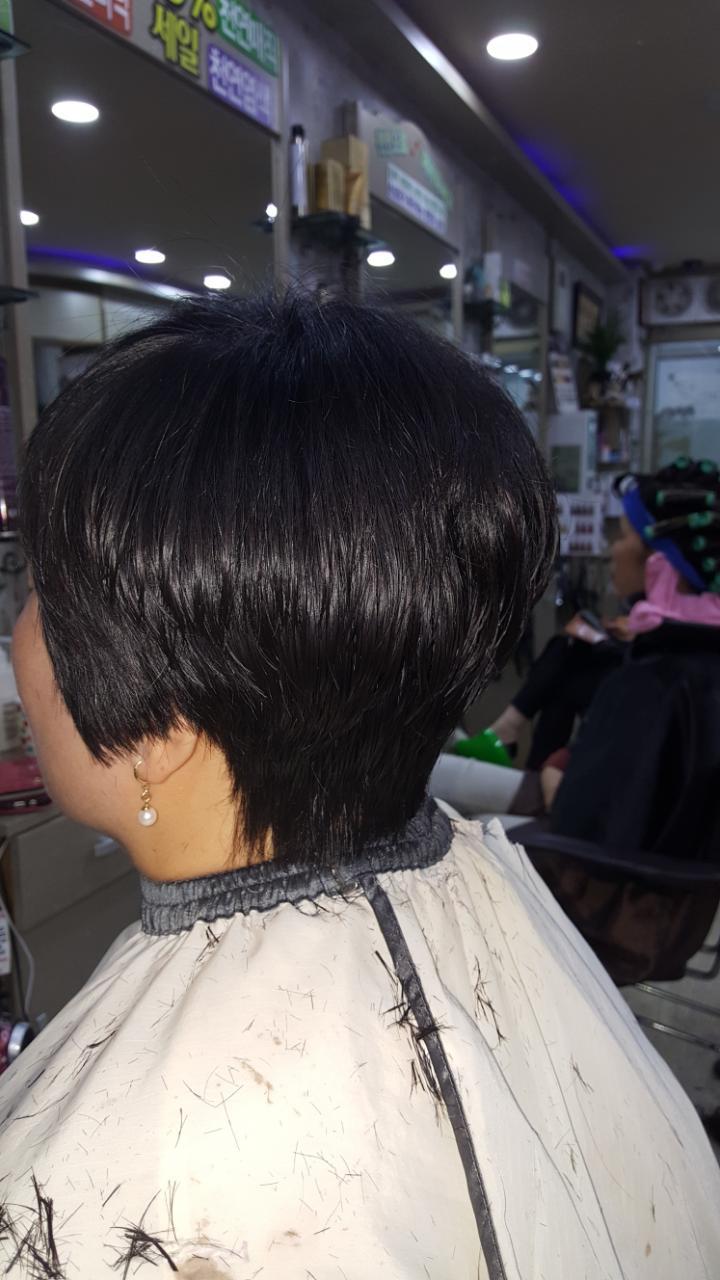 천연향기 이미지