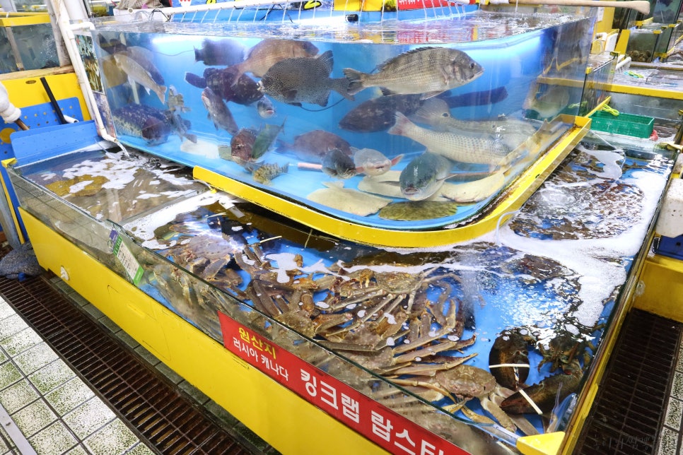 땅끝수산 이미지