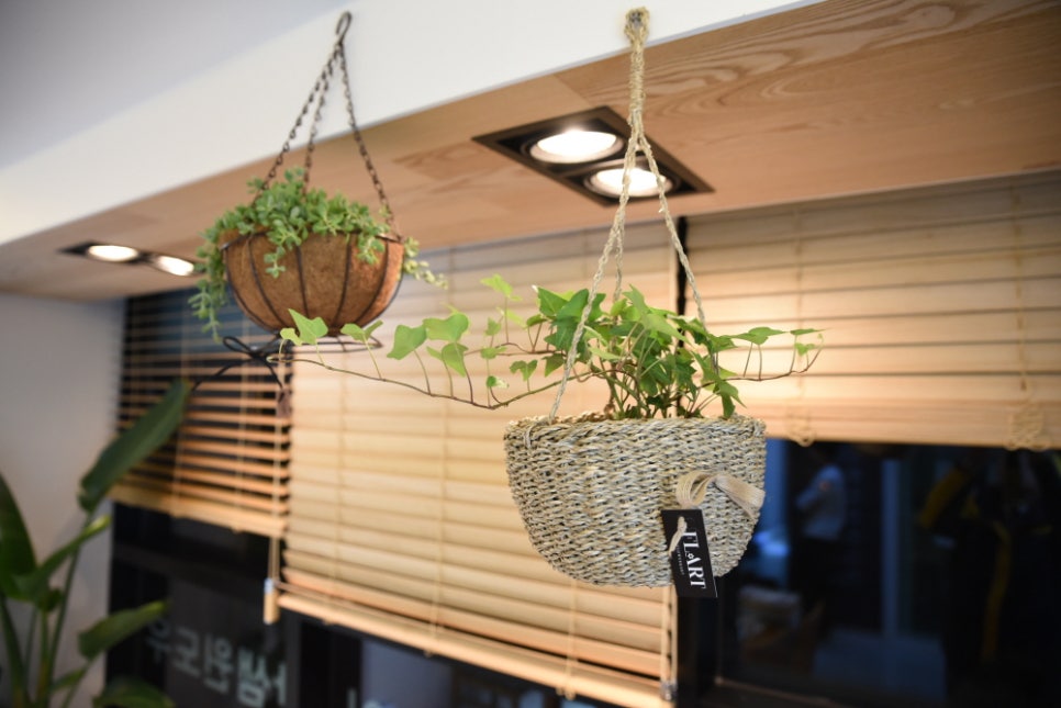 플라트(주) 이미지