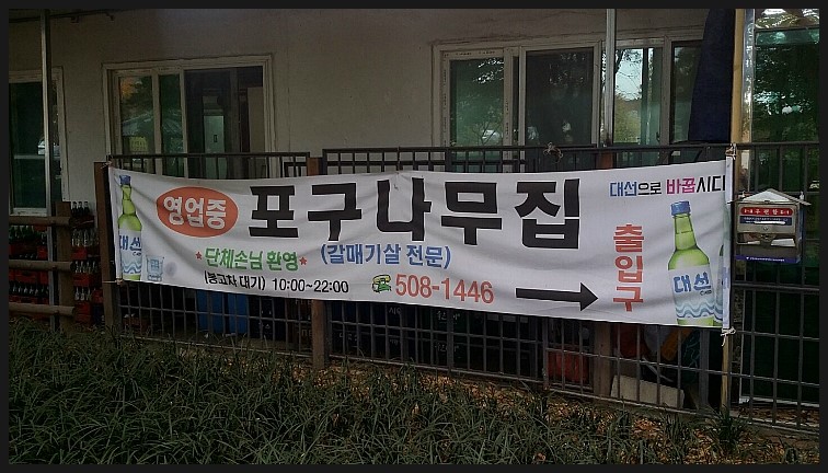 포구나무집 이미지
