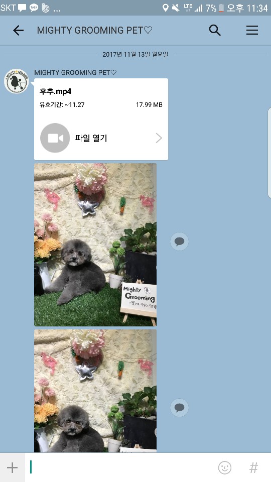 마이티그루밍 이미지