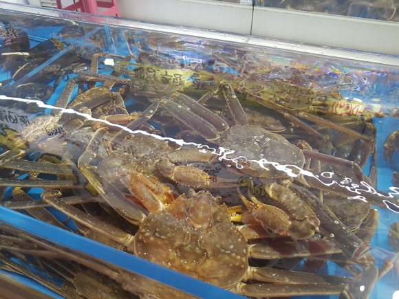 기장시장대게 이미지