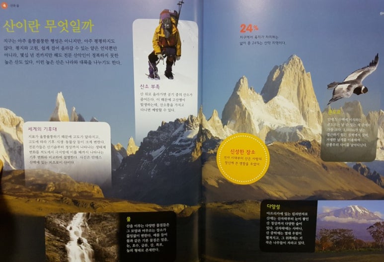 산과숲 이미지