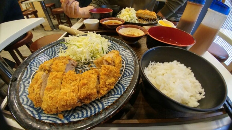 꼬숑 이미지