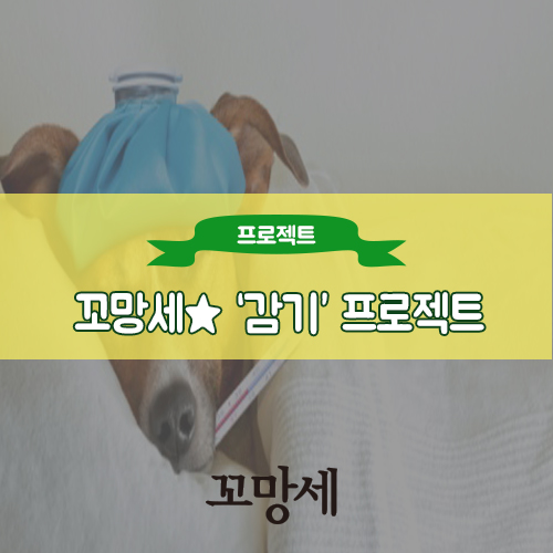 꼬망세 이미지