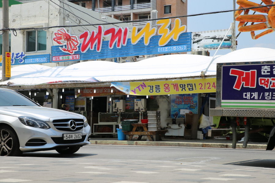 대게나라 이미지