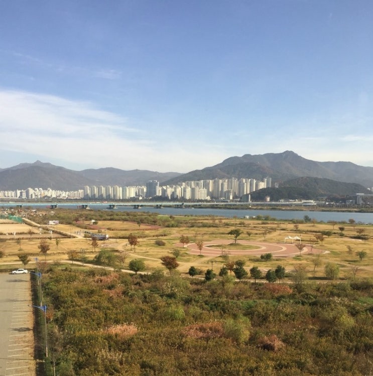 데스파시오 이미지