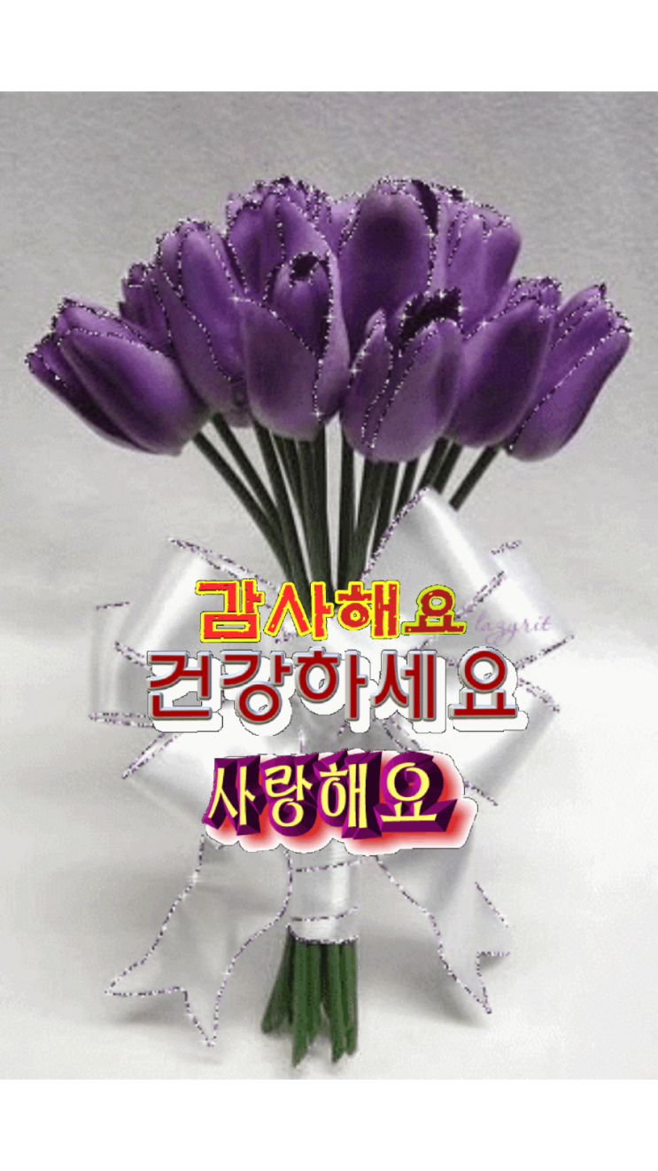 최고루 이미지