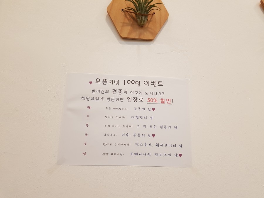 쭉심 이미지