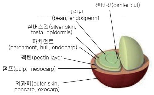 빈이커피 이미지