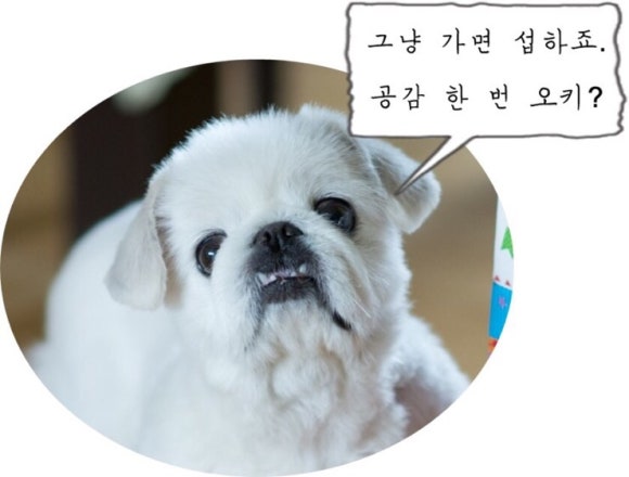 미화횟집 이미지
