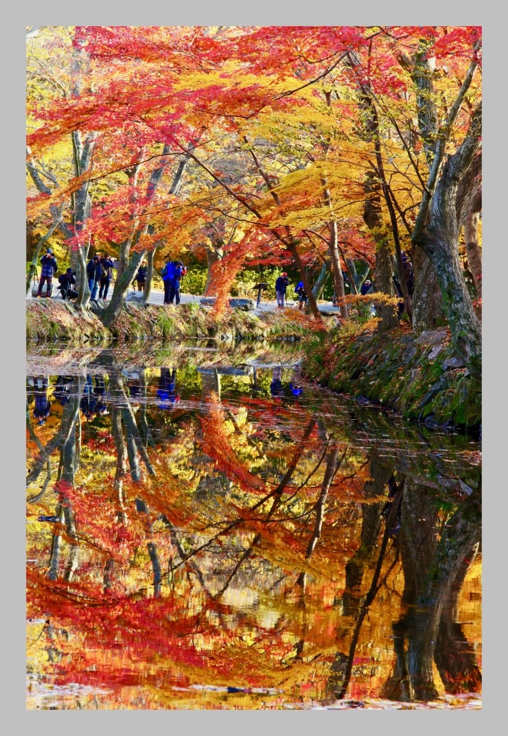 동백장여관 이미지