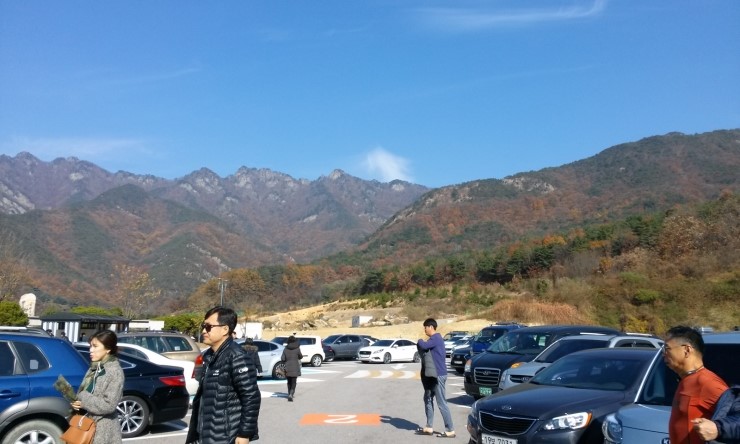 밀다원 이미지