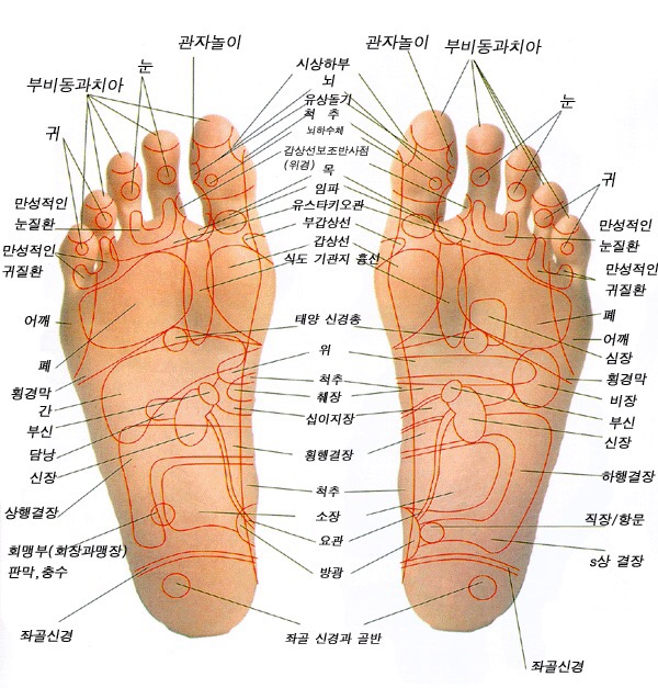 통증N바디테라피 이미지