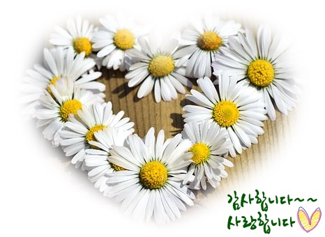 금줄산모도우미 이미지