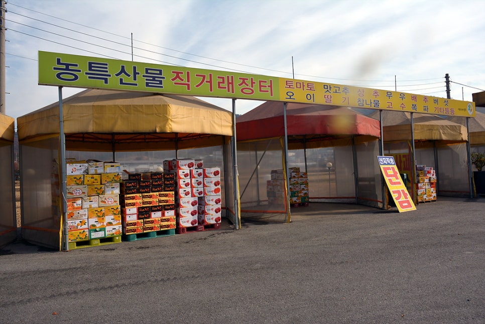 전국농산물직거래판매장 이미지