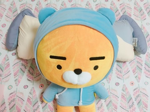 솜복솜복 이미지