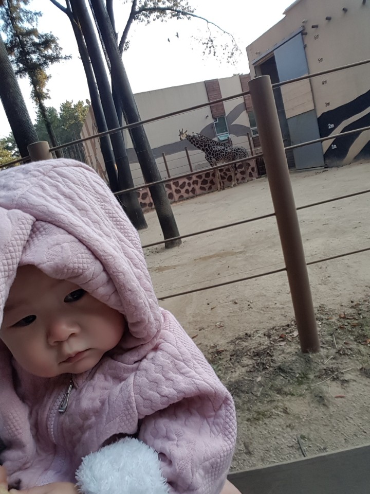 수밍이네 이미지