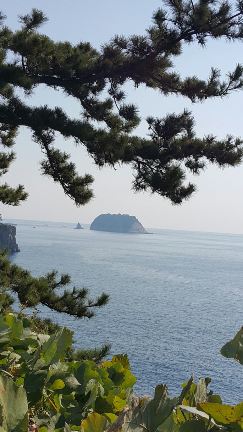 세원여행사 이미지