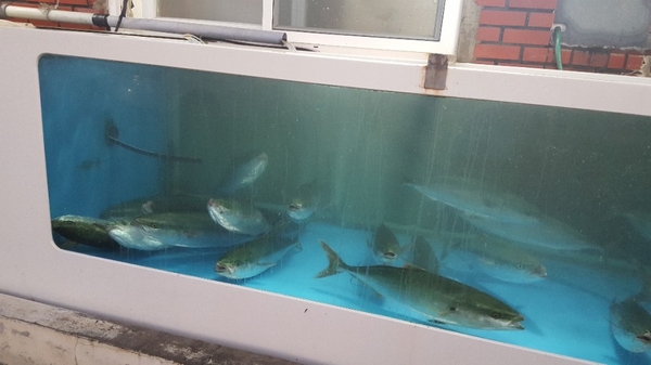항구식당 이미지