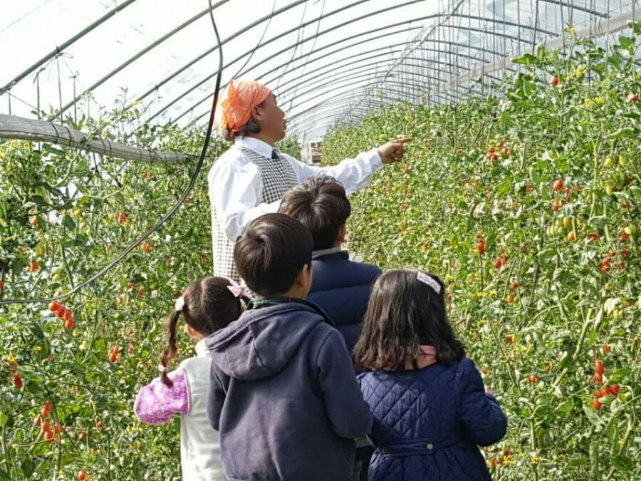 영농조합법인 농부 이미지