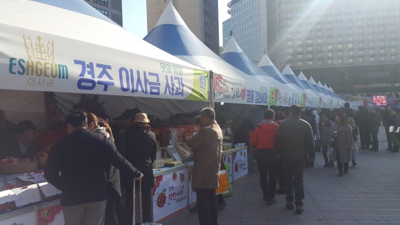 착한사과 이미지