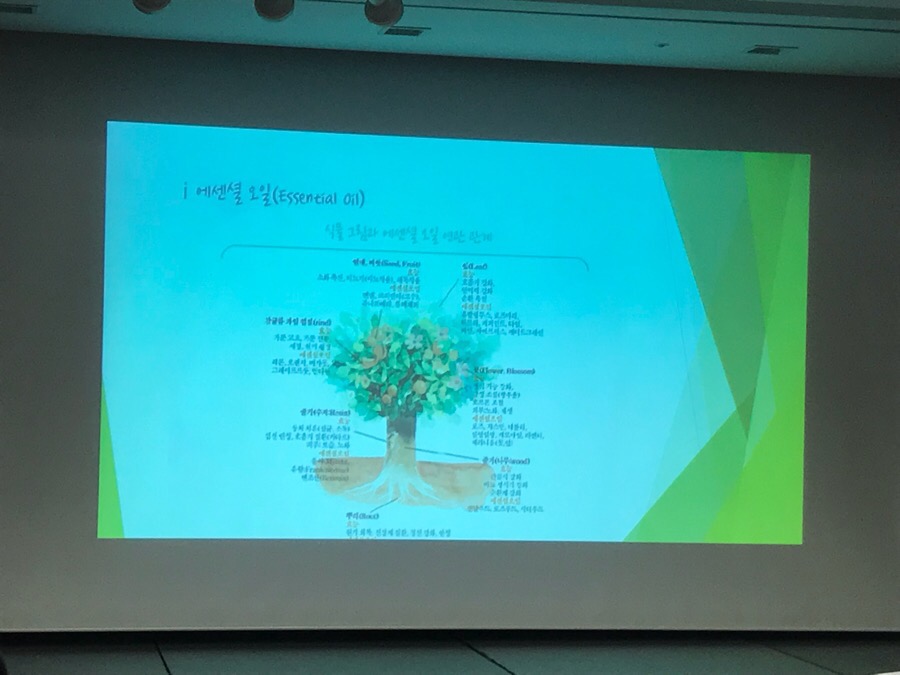 부산반영구학원 반영구화장교육 속눈썹 왁싱 국제강사회포럼주최 : 네이버 블로그
