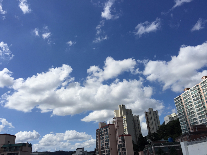 코끼리세차장 이미지