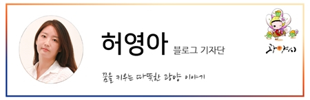 놀고가자 이미지