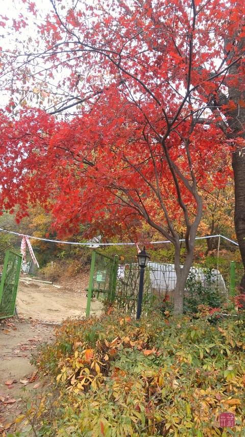 더달 이미지