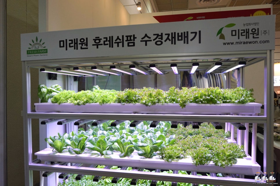 천상푸드 이미지