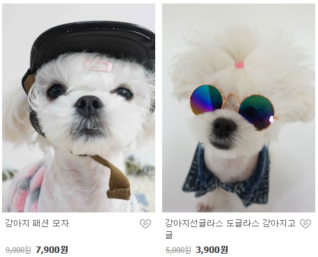 입어보개 이미지