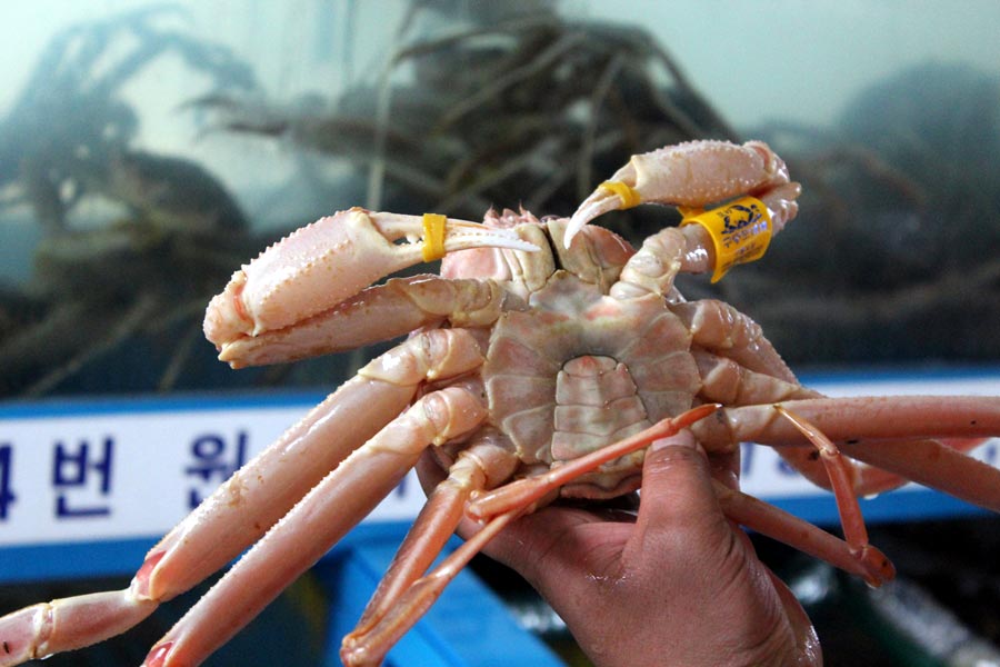 박달착한수산 이미지