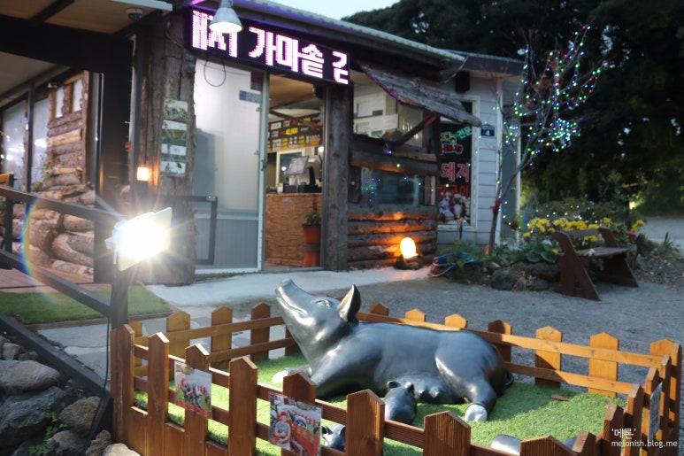 돈스타 사진 2