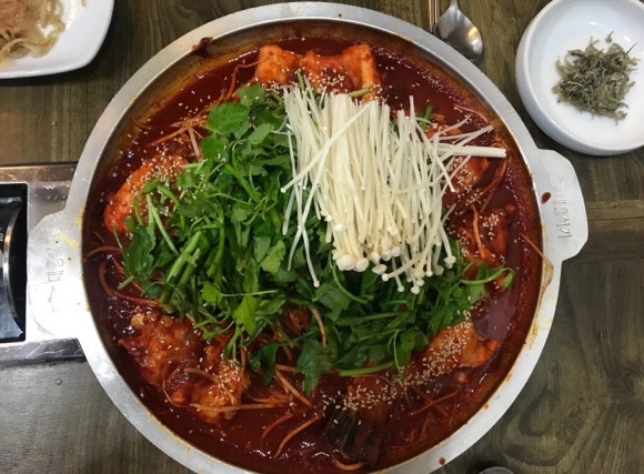 청해복어 이미지